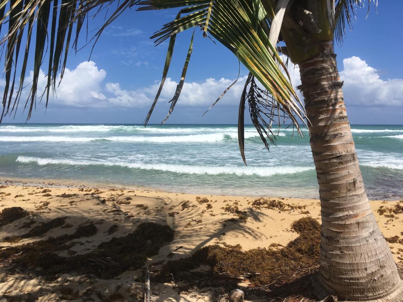 Willa Tranquility By The Sea Vieques Zewnętrze zdjęcie